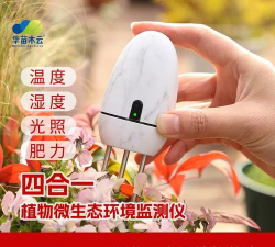 芍药花怎么养，掌握关键要点，花开更鲜艳