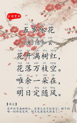 芍药花怎么养，掌握关键要点，花开更鲜艳