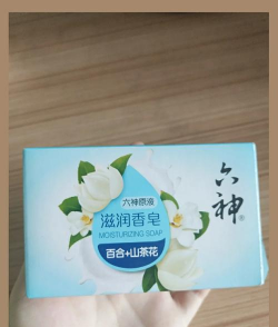 柿树虫病防治，识别常见虫害，掌握有效方法