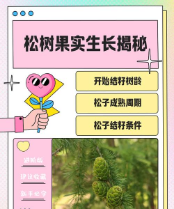 庭院景观绿化设计，打造舒适空间，提升生活品质