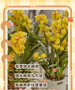 葡萄栽培，掌握关键技术，实现优质丰产