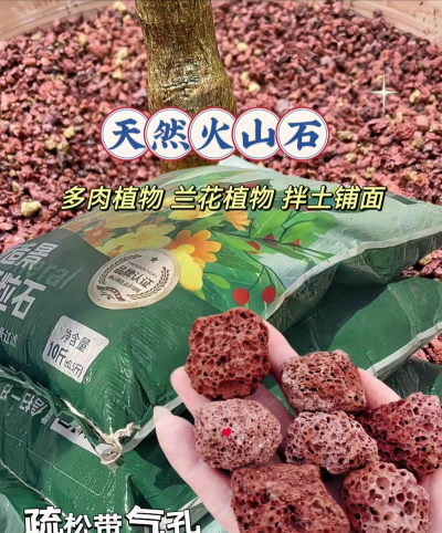 葡萄栽培，掌握关键技术，实现优质丰产