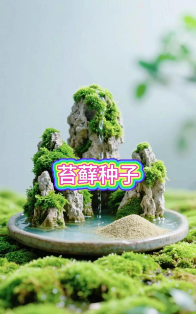 庭院景观绿化设计，打造舒适空间，提升生活品质