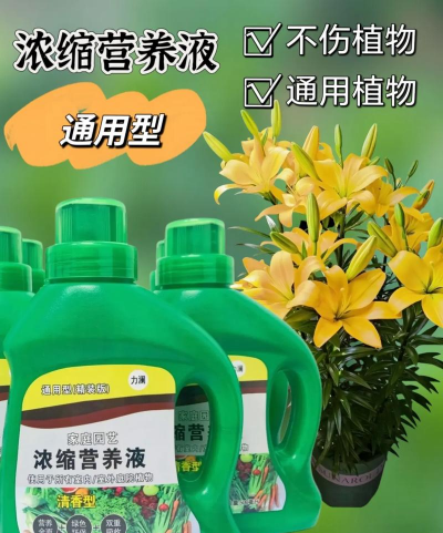 家庭养花用生根粉