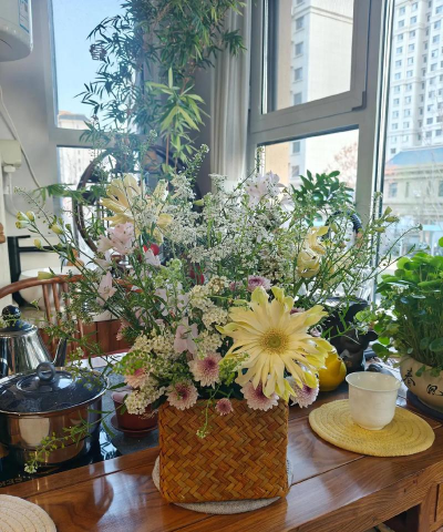 家庭养花用生根粉