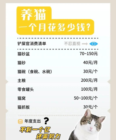 猫领养花销