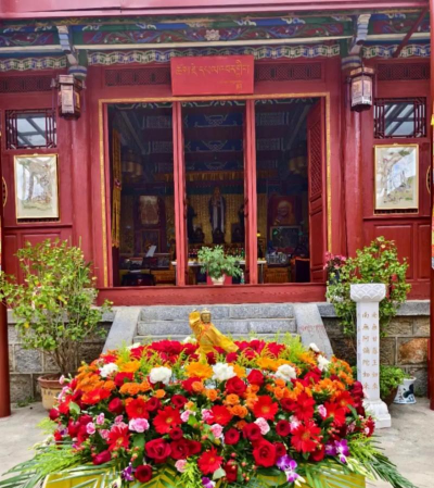 家庭养花用生根粉