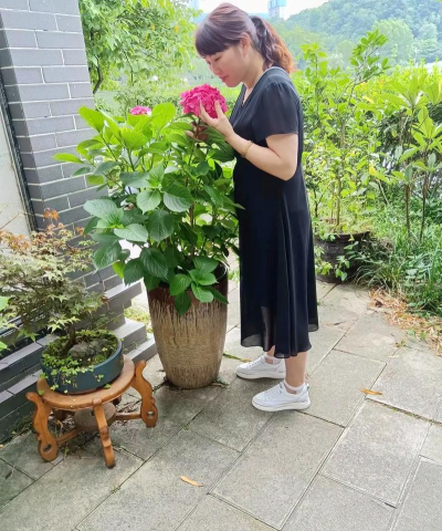 家庭养花用生根粉