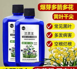 家庭养花用生根粉