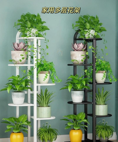 高脚架花盆养花