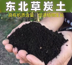 东北草炭养花好吗
