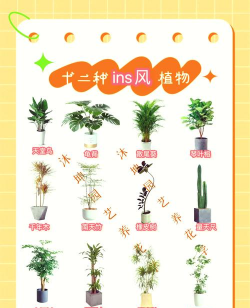 阳台养花怎么赶鸟