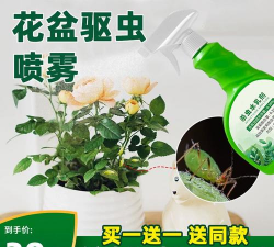 家庭养花用生根粉