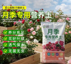 家庭养花用生根粉