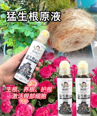 家庭养花用生根粉
