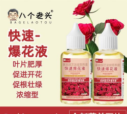 家庭养花用生根粉