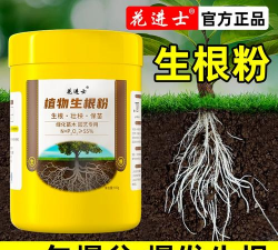 家庭养花用生根粉