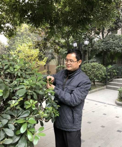 家庭养花用生根粉