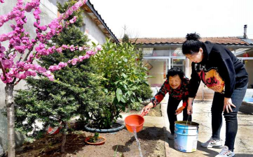 家庭养花用生根粉