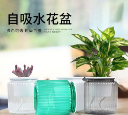 双层吸水养花盆