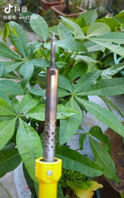 家庭养花用生根粉