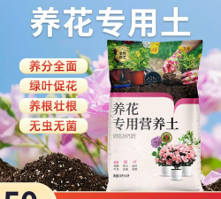 家庭养花用生根粉