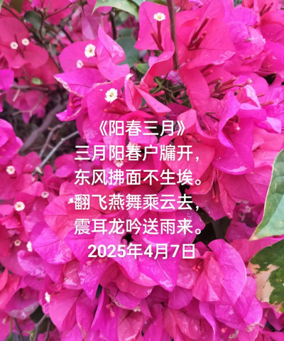 阳春几月可以养花