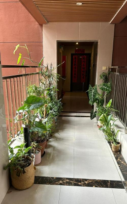 家庭养花用生根粉