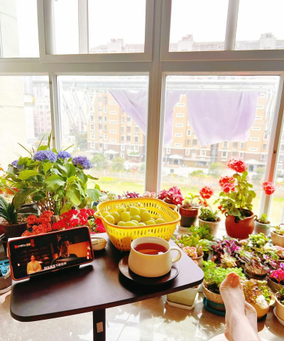 家庭养花用生根粉