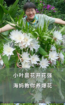 家庭养花用生根粉