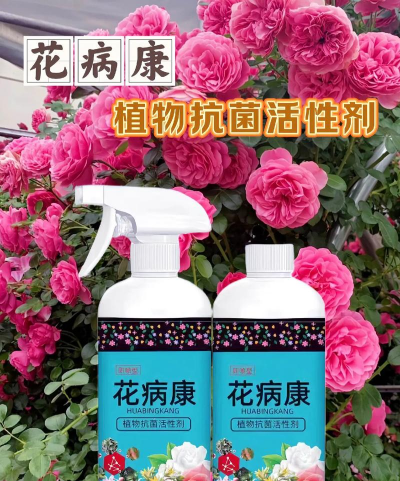 家庭养花用生根粉