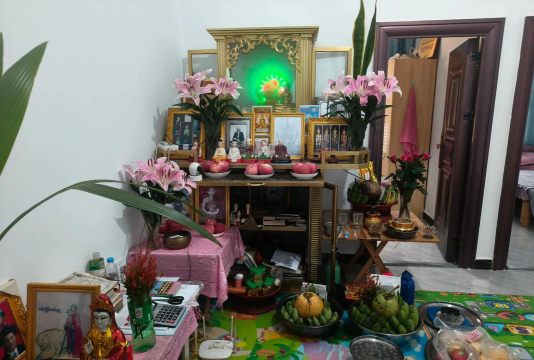 家庭养花用生根粉