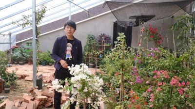 家庭养花用生根粉