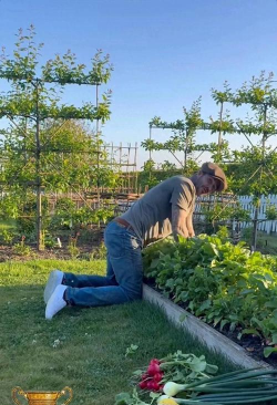 家庭养花用生根粉