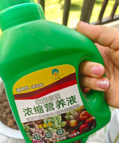 家庭养花用生根粉