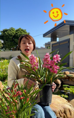 家庭养花用生根粉