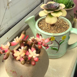 绿化景观设计，提升环境品质，创造宜人空间