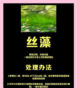 绿化景观设计，提升环境品质，创造宜人空间
