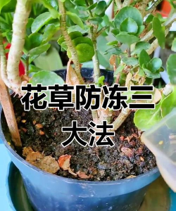 绿化景观设计，提升环境品质，创造宜人空间