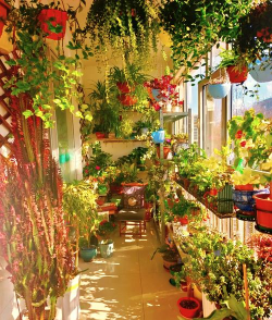 绿化景观设计，提升环境品质，创造宜人空间