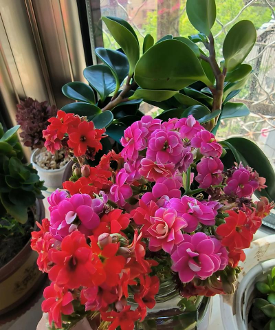 绿化景观设计，提升环境品质，创造宜人空间