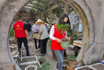 家庭养花用生根粉