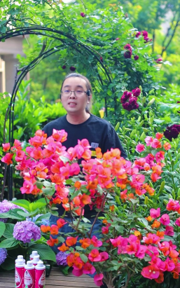 家庭养花用生根粉