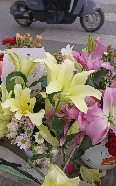 家庭养花用生根粉