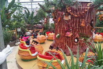 家庭养花用生根粉