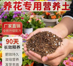 家庭养花用生根粉