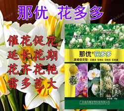 家庭养花用生根粉