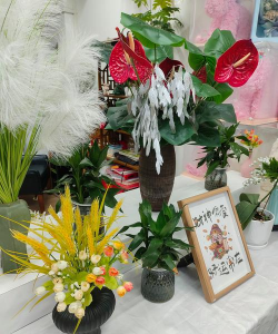 家庭养花用生根粉