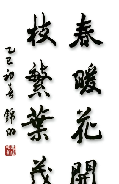 无土栽培技术，突破土壤限制，开启高效种植新篇章