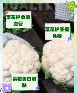 庭院景观绿化设计，打造舒适空间，提升生活品质